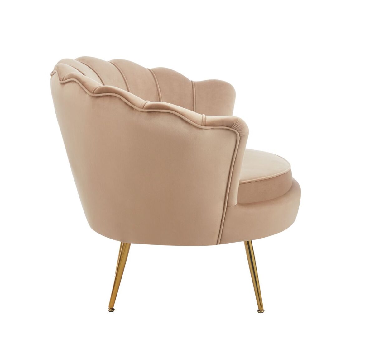 Fotel velvet (G) – Riviera 24 cappuccino | Meble DUO qdaj5qszlhavktvlgh1r