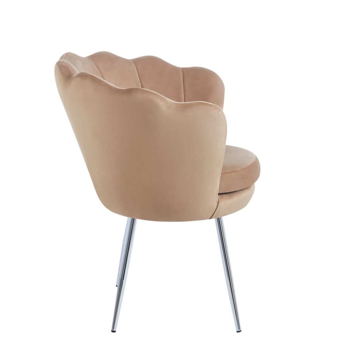 Fotel velvet (cappuccino) /nogi srebrne/ | Meble DUO r9qyvcotkwzgsdrp8ila