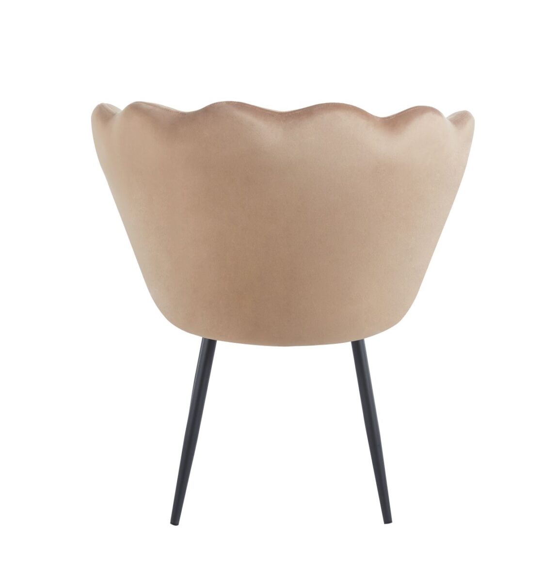 Fotel velvet (cappuccino) /nogi czarne/ | Meble DUO y8bpuwpwb3aus8l3eupo