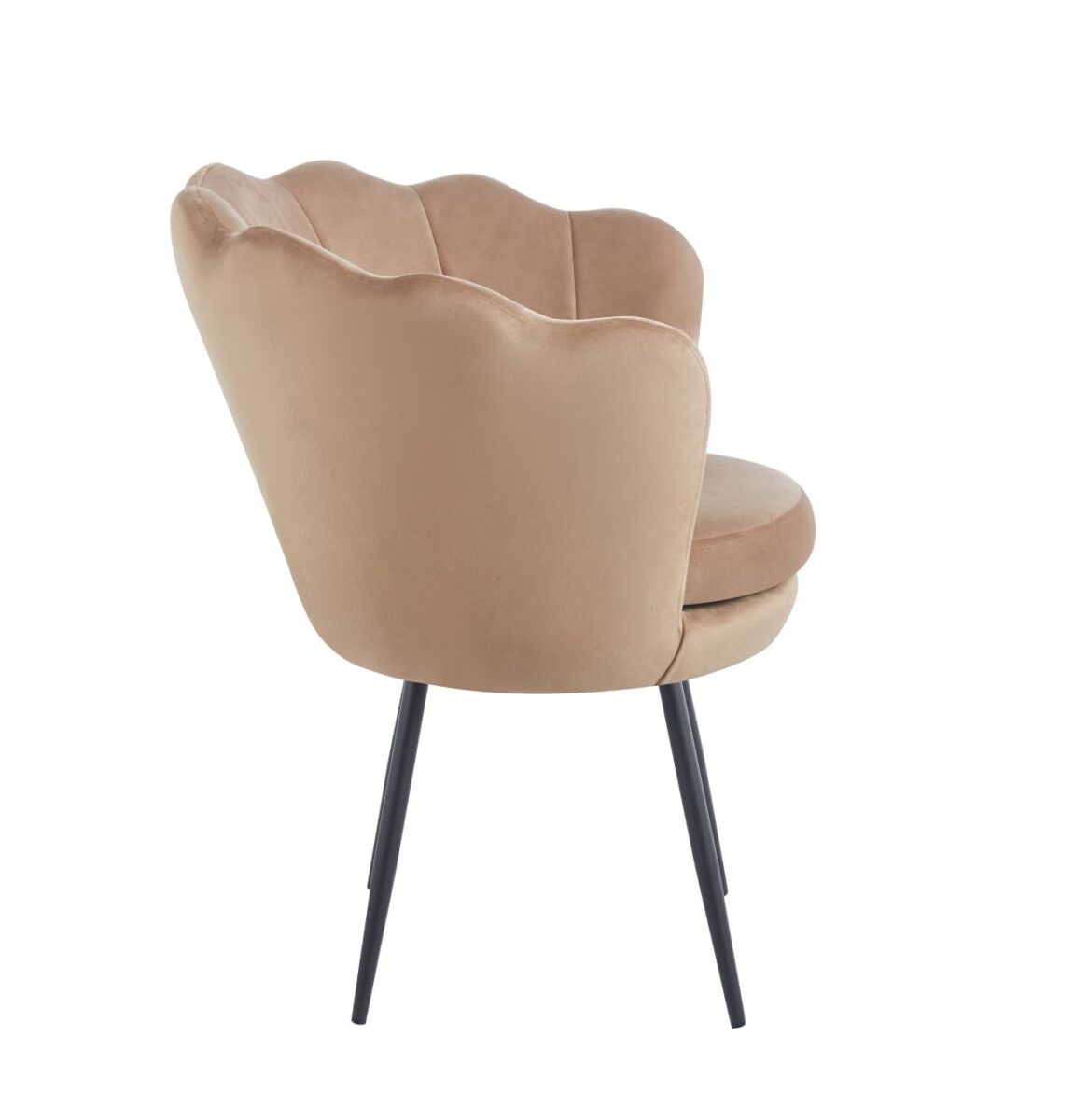 Fotel velvet (cappuccino) /nogi czarne/ | Meble DUO z9habvdh3z0qkhs761rm