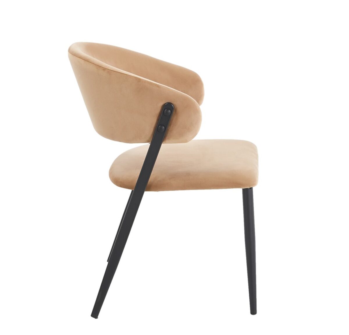 Krzesło cappuccino velvet Riviera 24 | Meble DUO iwq4bsidhipbzhs6idwy
